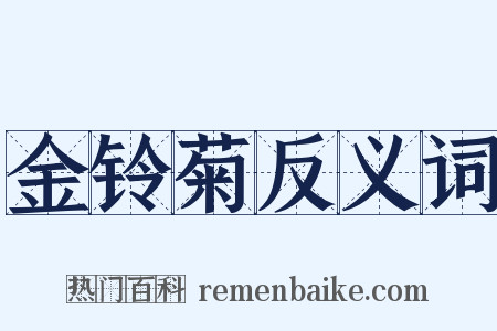 金铃菊反义词是什么意思的图片